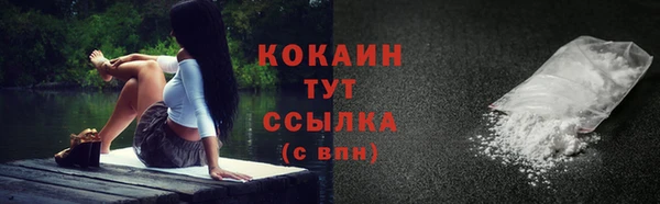 прущие грибы Майский