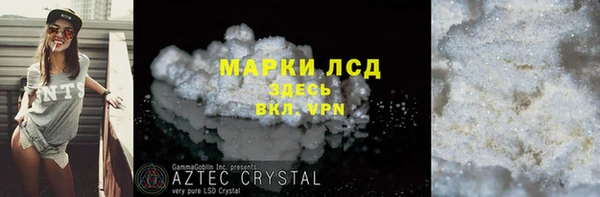 прущие грибы Майский