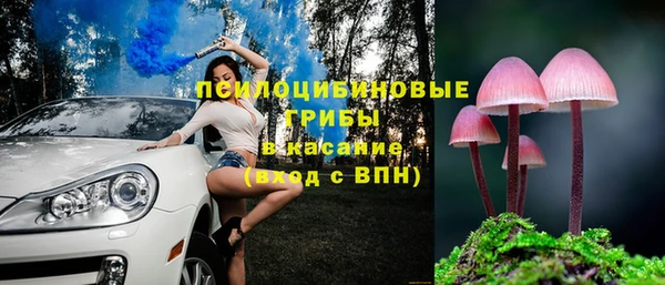 СК Мегион