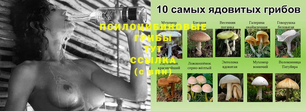 прущие грибы Майский