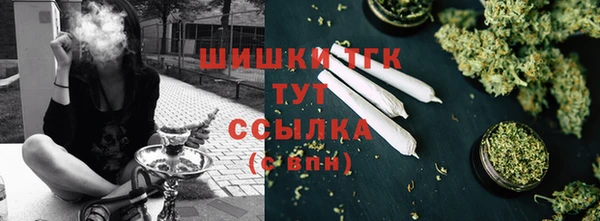 прущие грибы Майский