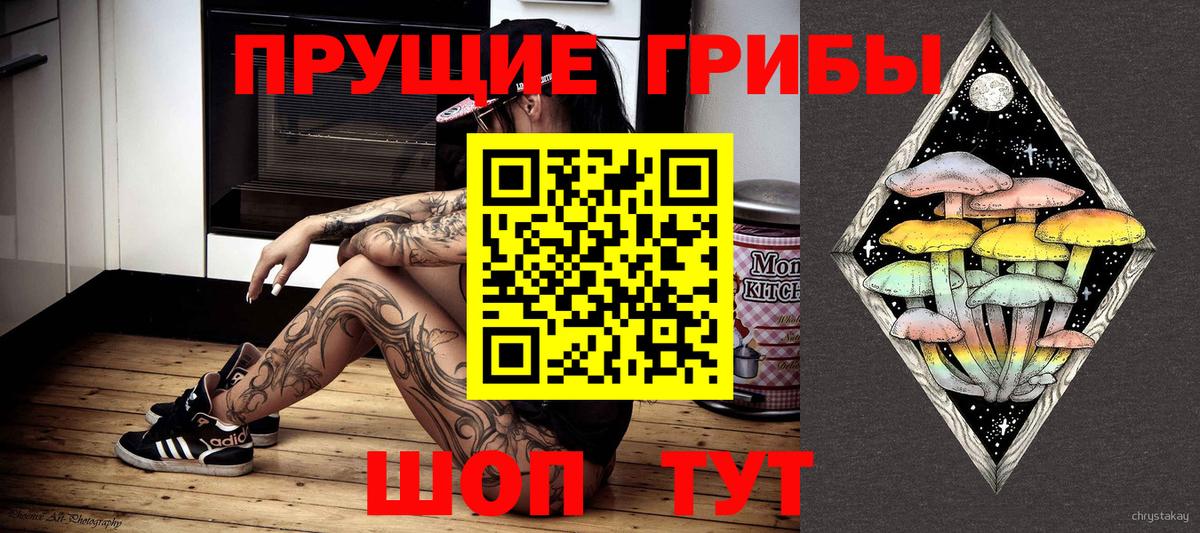Кудымкар  Галлюциногенные грибы ЛСД  Вход с VPN 